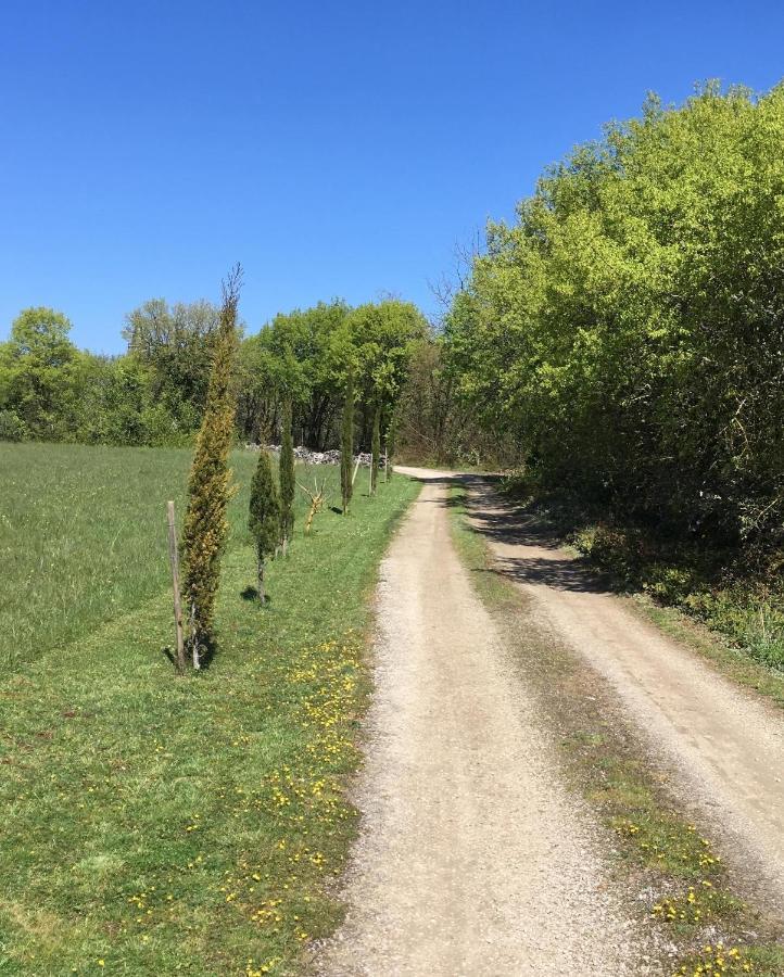 Les Gites Perard Caylus Экстерьер фото