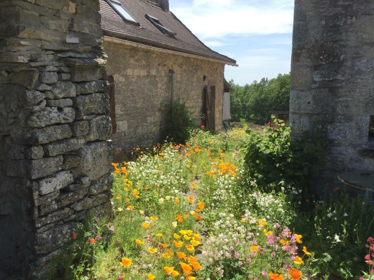 Les Gites Perard Caylus Экстерьер фото